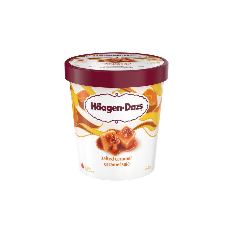 Haagen Dazs Ice Cream Salted Caramel 450 ml