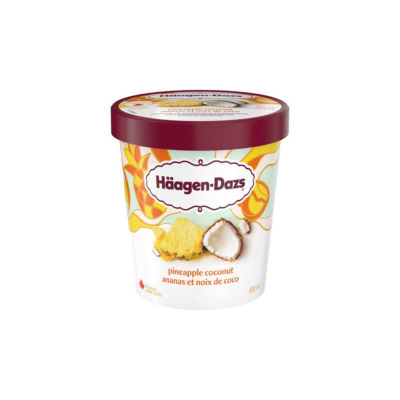 Haagen Dazs Ice Cream Pineapple Coconut 450 ml