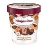 Haagen Dazs Ice Cream Chocolate Hazelnut 450 ml