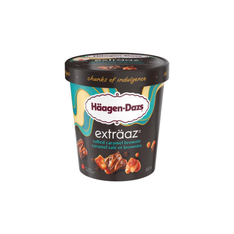 Haagen Dazs Ice Cream Extraaz Salted Caramel Brownie 450 ml
