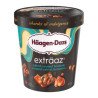 Haagen Dazs Ice Cream Extraaz Salted Caramel Brownie 450 ml
