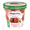 Haagen Dazs Plant-Based Vanilla Raspberry Truffle Frozen Dessert 400 ml