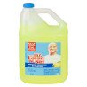 Mr Clean Disinfectant Multi-Surface Cleaner Summer Citrus 3.78 L