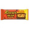 Hershey Reese Big Cup Pieces Peanut Butter King Size 79 g