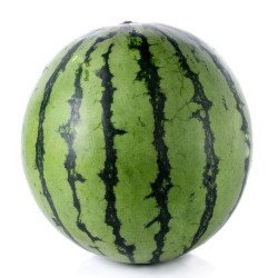 Mini Seedless Watermelon each