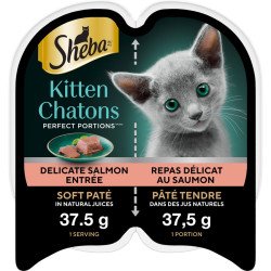 Sheba Kitten Perfect...