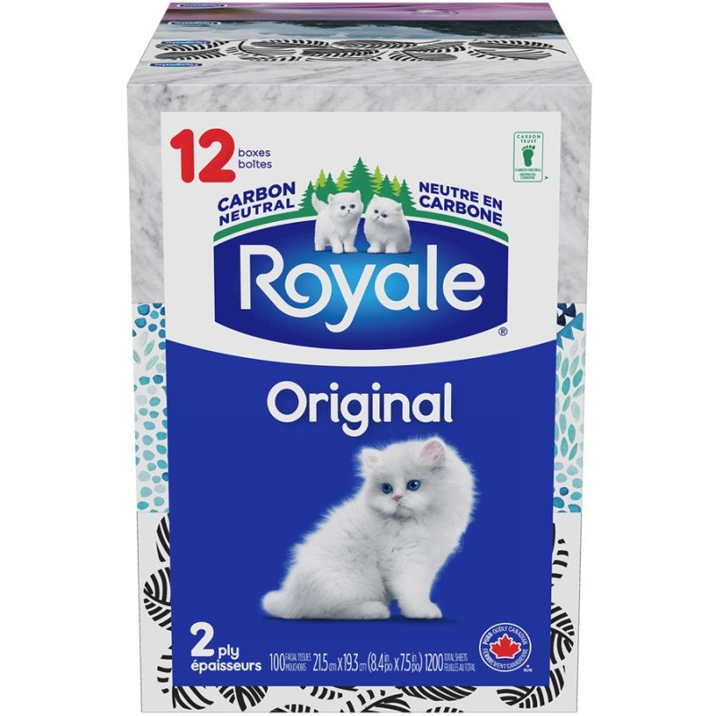 Royale Facial Tissue Multipack 2-Ply 12 x 100's