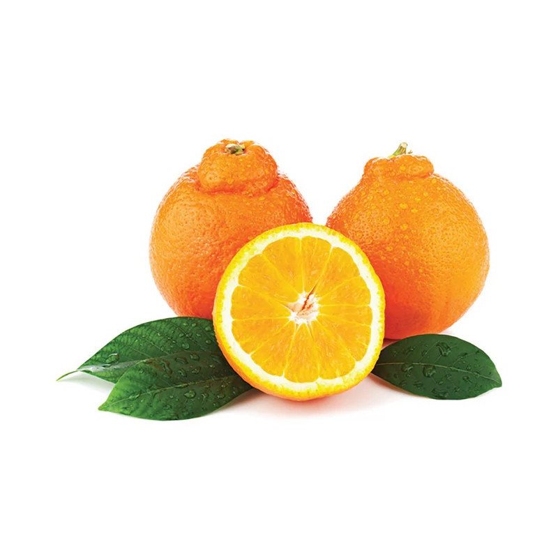 Minneola Tangelo (up to 230 g each)