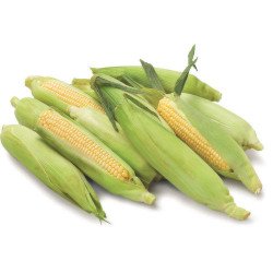 Bi-Colour Corn On The Cob each