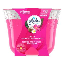 Glade 3-Wick Jar Candle Exotic Tropical Blossoms each