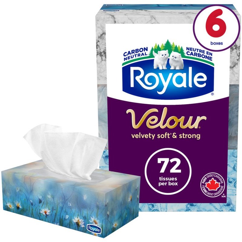 Royale Velour Facial Tissue Multipack 3-Ply 6 x 72's