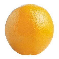 Extra Large Navel Oranges...