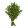 Fresh Dill bunch