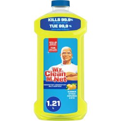 Mr Clean Multi Surface...