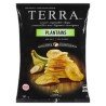 Terra Plantains Sea Salt Vegetable Chips 141 g