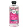 Herbal Essences Daily Cleanse White Strawberry & Sweet Mint Shampoo 400 ml