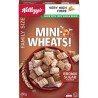 Kellogg's Family Size Cereal Mini Wheats Brown Sugar 650 g