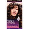 Clairol Bold & Bright Permanent Hair Dye 50 Brown Sugar each