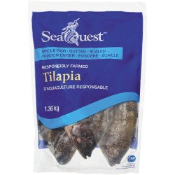 Seaquest Whole Tilapia 1.36 kg