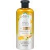 Herbal Essences Real Botanicals Honey & Vitamin B Daily Moisture Shampoo 400 ml