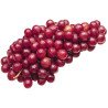 Red Seedless Grapes (up to 990 g per pkg)