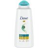 Dove 2-in-1 Shampoo & Conditioner Daily Moisture 750 ml