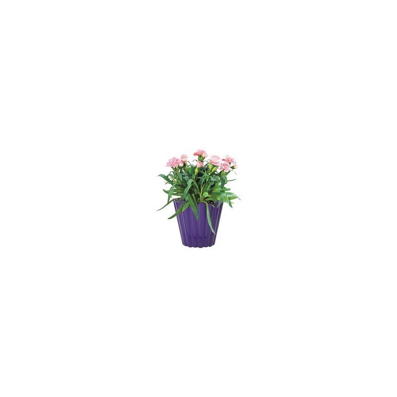 PC 8.5-Inch Early Annual Planter