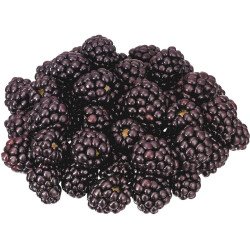 Blackberries 12oz. 340 g