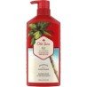 Old Spice 2-in-1 Shampoo & Conditioner Fiji with Coconut 650 ml