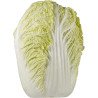 Napa Cabbage (up to 1620 g each)