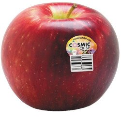 Cosmic Crisp Apples (up to...