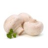 Bulk White Mushrooms (up to 30 g each)