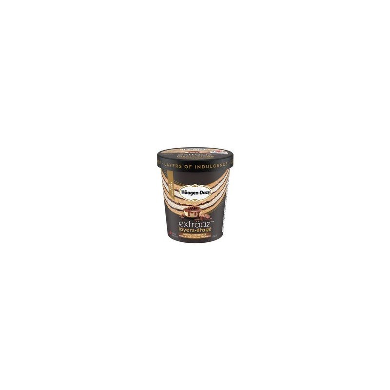 Haagen Dazs Extraaz Ice Cream Mocha Cheesecake 500 ml